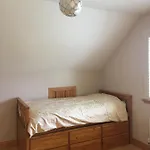 Drumcoura Resort: Lakeside Retreat With Equestrian Center Holiday home